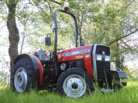 Hattat 240SN Obstbau Plantagen Schmalspur Traktor wie MF Massey Thüringen - Erfurt Vorschau