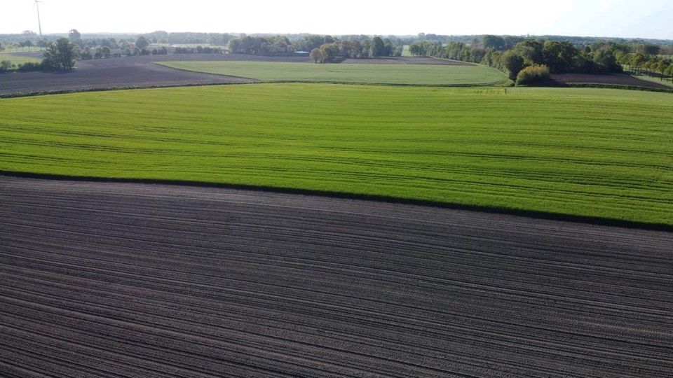 Landwirtschaftlicher Grund Acker Ackerfläche Wald ha Fläche Wiese in Eggenfelden