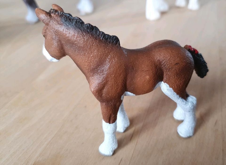 Schleich Horse Club Pferde, Dressur, mit Zubehör in Hallbergmoos