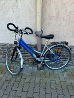 Damen Fahrrad Rheinland-Pfalz - Koblenz Vorschau