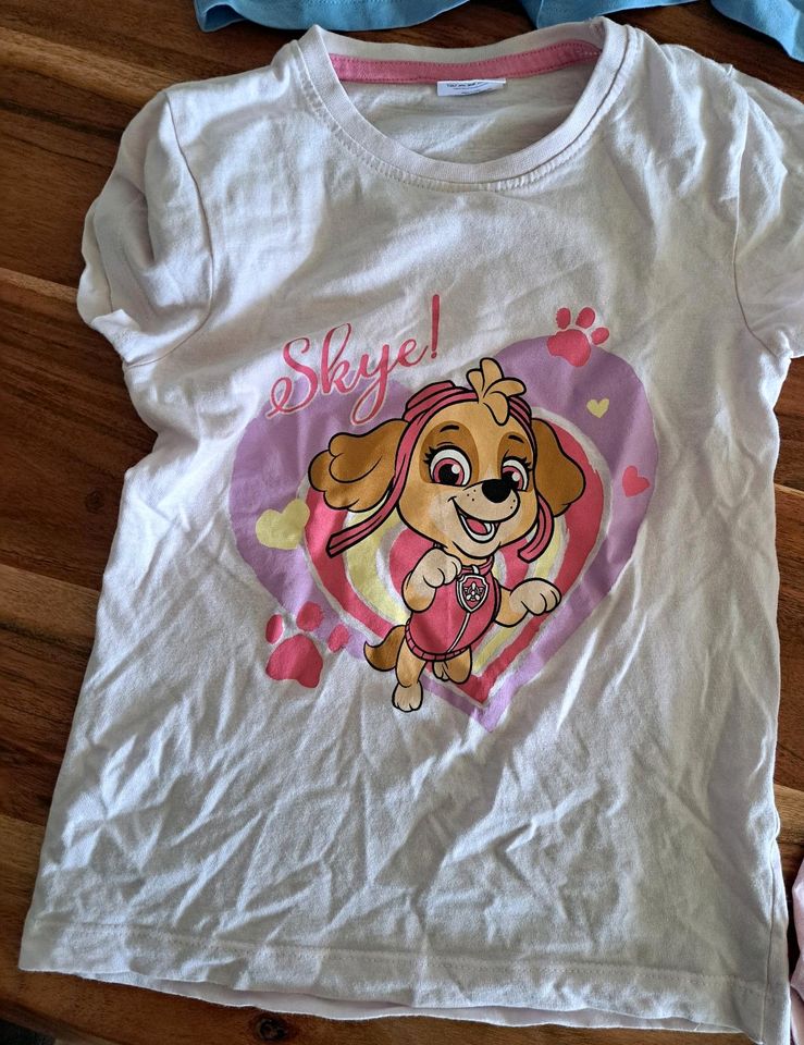 T-Shirt's Größe 110/116  ana und elsa, paw patrol, Palette in Landsberg (Lech)