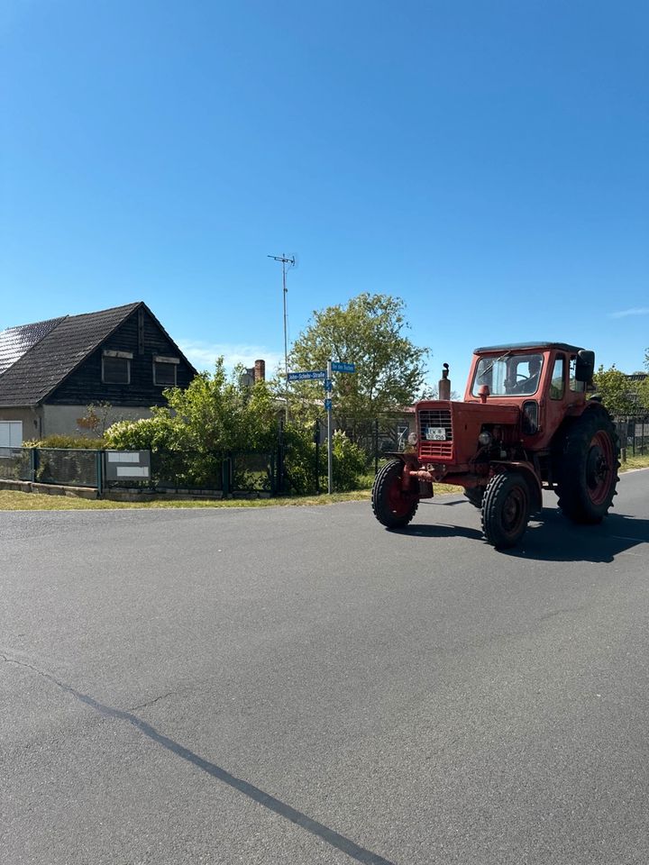 - Erstbezug nach Sanierung - gemütliches Doppelhaus mit Garten in Eberswalde zu vermieten. in Eberswalde