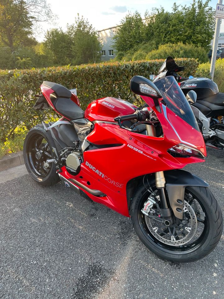 Ducati panigale 1299 in Erkelenz