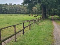 11 ha Acker- und Grünland mit vermieteter Hofstelle zu verkaufen Niedersachsen - Kirchlinteln Vorschau