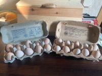 Frische Eier Thüringen - Waltershausen Vorschau