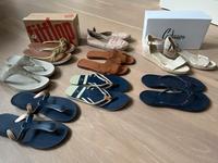 Fitflop Havaianas Castaner Gant Oran 39/40 blau gold Leder NEU Düsseldorf - Pempelfort Vorschau
