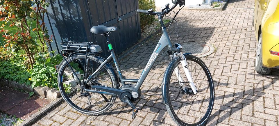 E-Bike Pegasus Solero E8, Da28 in Gammelsdorf