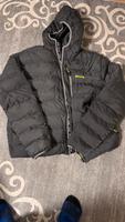 Herren Gaudino Kapuzen-Steppjacke Hessen - Kassel Vorschau