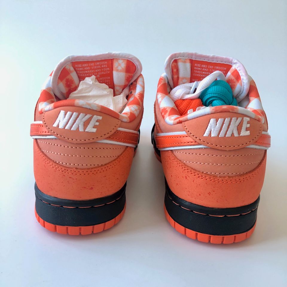 Nike SB Dunk Low Concepts Orange Lobster • Größe 42 | Händler ✅ in Berlin