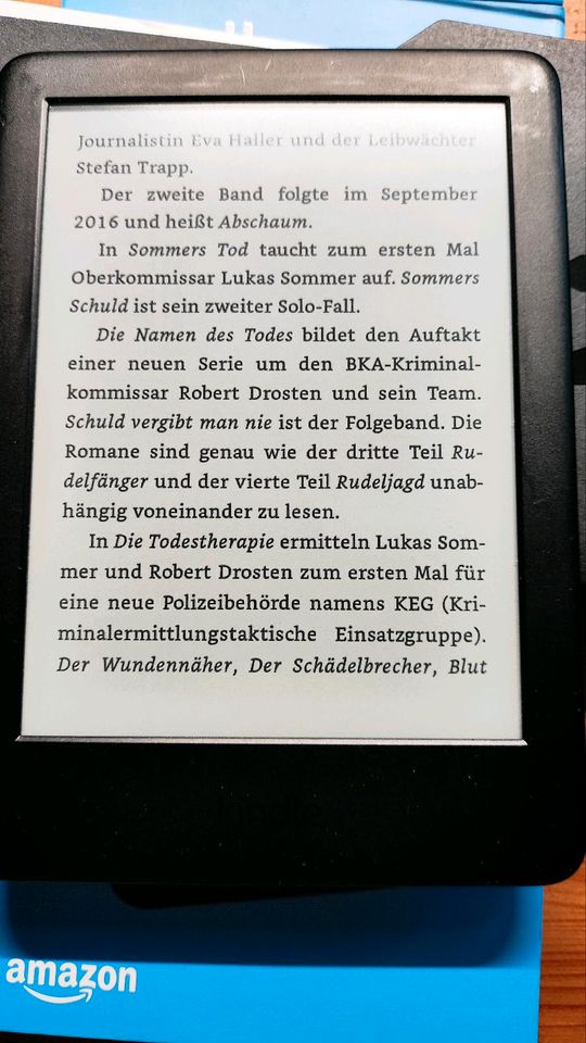 Amazon Kindle 10 Generation in Nürnberg (Mittelfr)