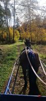 Pflegebeteiligung, Fahrbeteiligung Bayern - Kelheim Vorschau