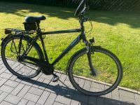 Rabeneick Vabene / Schimano Nexus 8-Gang Trekking Bike Fahrrad Niedersachsen - Sottrum Vorschau