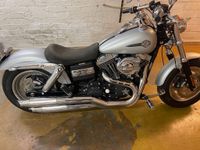 Harley Fat Bob 2010er Silber matt Kess Tech Wandsbek - Hamburg Sasel Vorschau