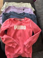 Puma Name it Pullover Sweatshirt Größe 134 140 Wandsbek - Hamburg Rahlstedt Vorschau