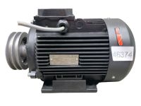 URALELECTRO Motor Induction Elektromotor 400/590V 2850 U/m 46374 Nordrhein-Westfalen - Dinslaken Vorschau