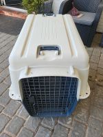 Hundebox Hunde Box Niedersachsen - Bad Zwischenahn Vorschau