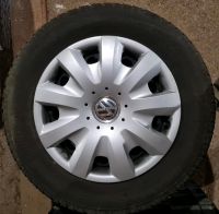 VW Winterräder 195/65 R 15T Conti Winter Contact TS 850 Baden-Württemberg - Durbach Vorschau