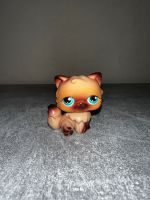 Littlest petshop Perser Katze #22 !ohne Schleife! Hessen - Dieburg Vorschau