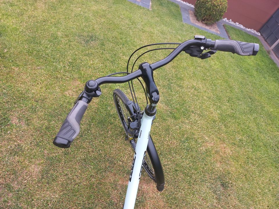 Damenfahrrad / Fahrrad 28 Zoll 60cm LPM sehr gepflegter Zustand in Dörpen