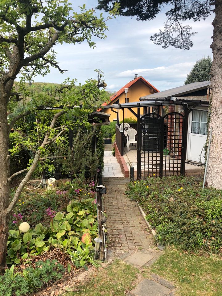 Haus im Harz am Waldrand in Meisdorf