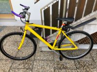 Mountain-Bike "Ragazzi" Herrenfahrrad (21-Gang Shimano) Bayern - Viechtach Vorschau