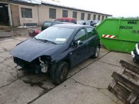 Fiat Grande Punto Türen,Heckklappe,usw Sachsen-Anhalt - Oranienbaum-Wörlitz Vorschau