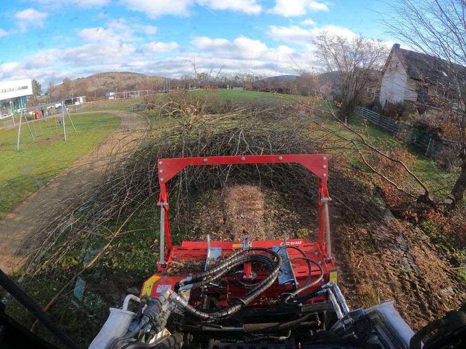 Forstmulcher Mulcher, Rodung, Gestrüppmulcher, Häcksler mit Fahrer mieten in Heimertingen