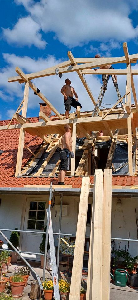 Dachdecker Plieningen + 100km Umkreis in Stuttgart