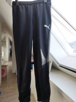 Puma Sporthose S Jogginghose Fußballhose Herren Baden-Württemberg - Auenwald Vorschau