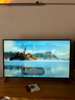 65 Zoll LG Smart TV Baden-Württemberg - Rastatt Vorschau