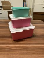 Tupperware Kühle Ecke 500 ml, 1,2 l und 2,5 l Nordrhein-Westfalen - Telgte Vorschau