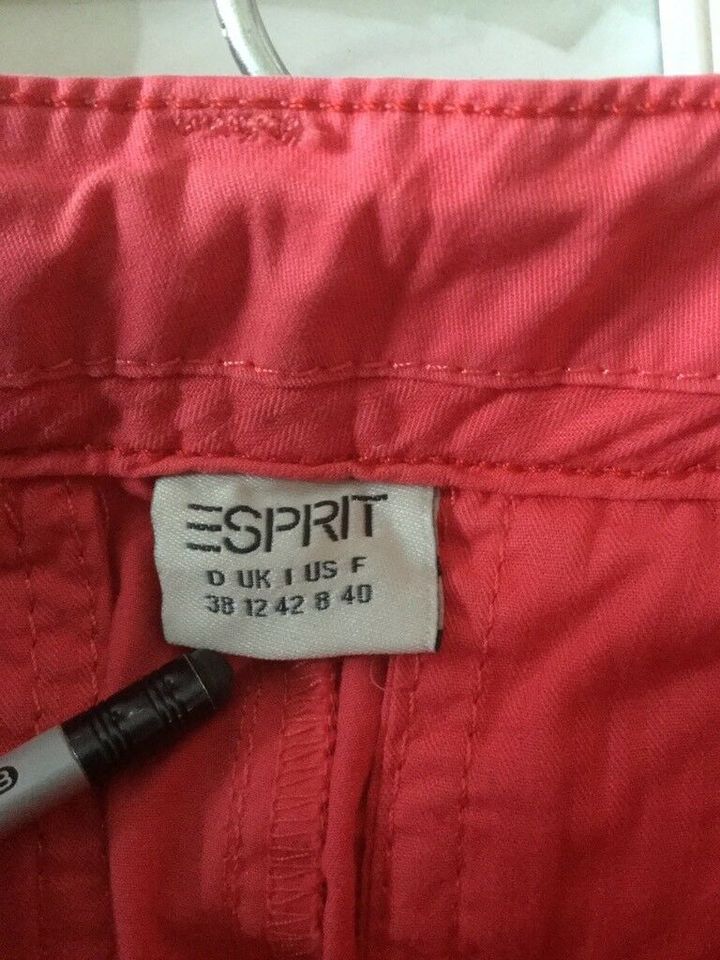 Esprit Hose Damen Chinohose in Anrode