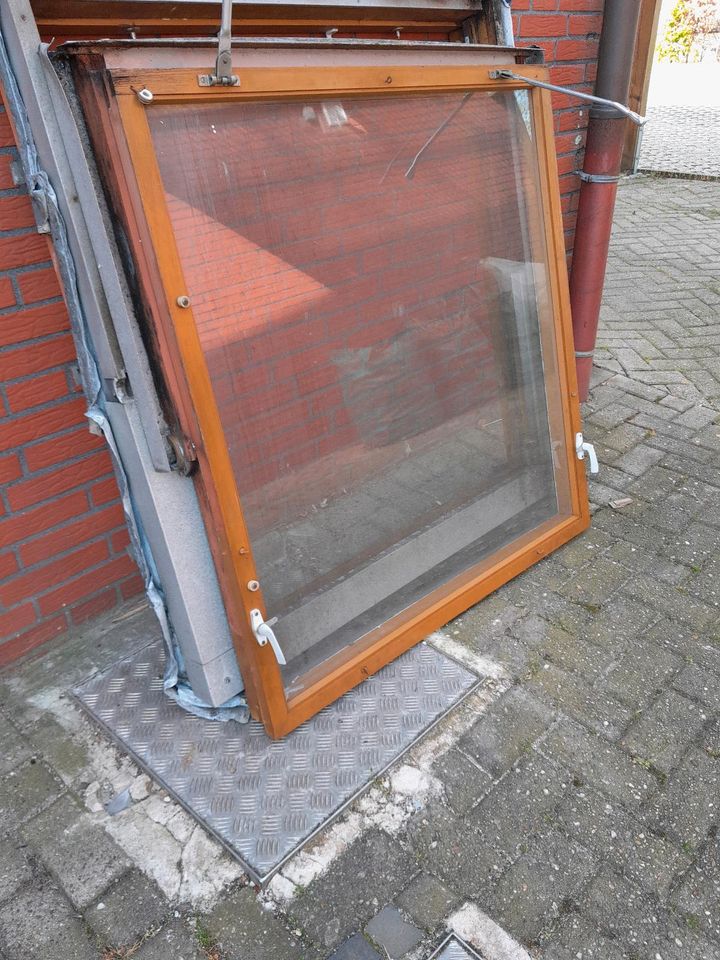 110 x 100 cm Fenster für Hochbeet zu verschenken in Ibbenbüren