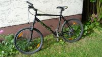 26 " MTB  Bulls Schleswig-Holstein - Koberg Vorschau