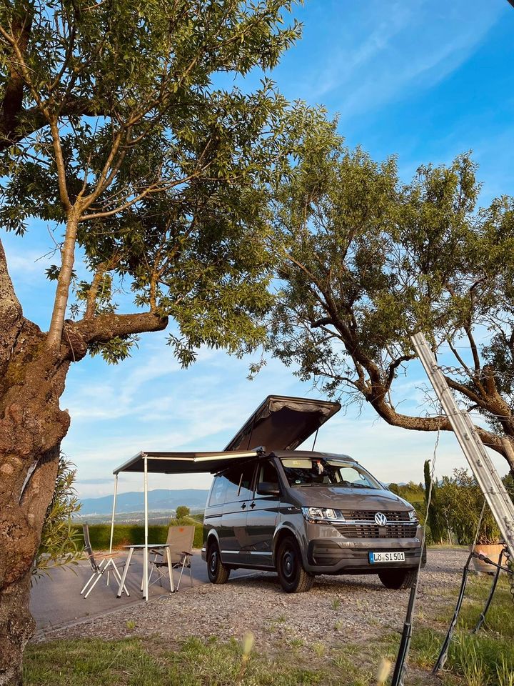 Campingausbau Elektrik Fenster Dächer Markisen Möbel Südcamper in Malterdingen