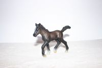 Schleich Pferd Lipizzaner Fohlen 13294 2004 Bayern - Erlangen Vorschau