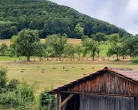 Kleine HD Heuballen ERNTE 2023 Baden-Württemberg - Laichingen Vorschau