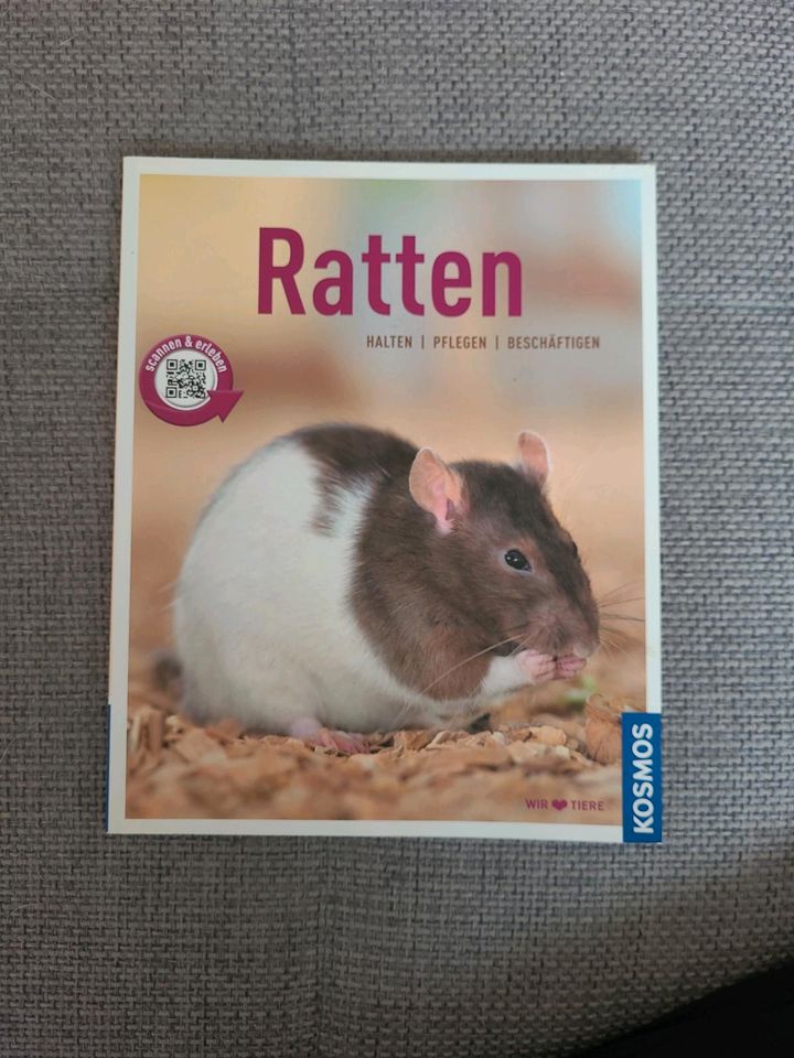 Kosmos Ratten Halten/Pflegen/Beschäftigen Ratgeber Buch in Hochheim am Main