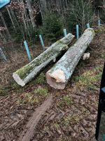 Stammholz Hainbuche, Buchenstamm Bayern - Berching Vorschau