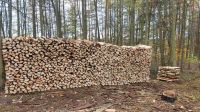 Holz Brennholz Fichte gespalten Kaminholz Bayern - Lenting Vorschau