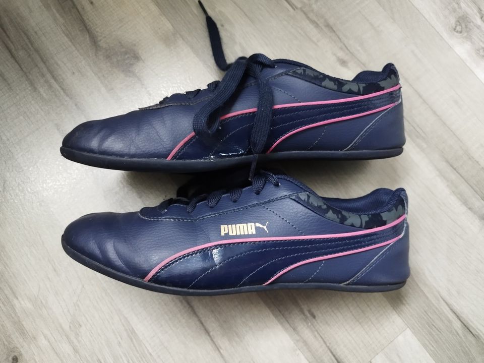 Puma Sneaker, Größe 39 in Xanten