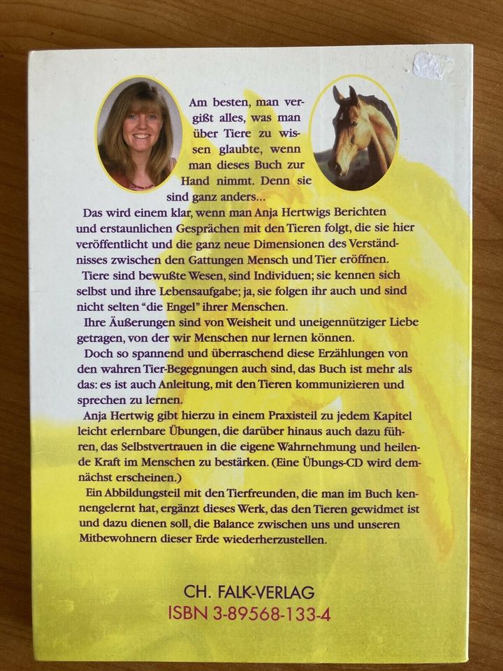 Buch: Hale Bob -ein Pferd führt auf dem Weg ins Licht in Rothenklempenow