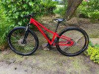 SPECIALIZED MTB Pitch Rot 27,5 XS - Fahrrad Kinderfahrrad - TOP! Altona - Hamburg Ottensen Vorschau