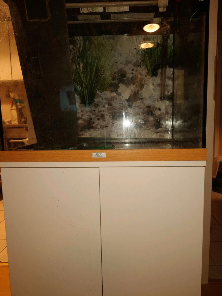 Jewel Aquarium 120 liter in Putzbrunn