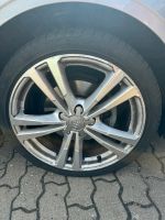 Audi A3 Felgen Niedersachsen - Neu Wulmstorf Vorschau