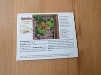 Zooloretto Promo Iberischer Luchs Nordrhein-Westfalen - Paderborn Vorschau