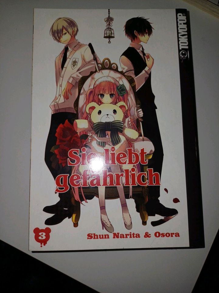 4 Teiliger Manga in Beimerstetten