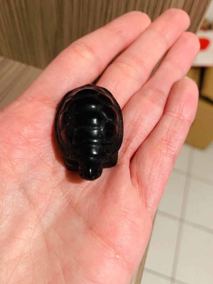 Schwarze Obsidian Schildkröte in Waldsolms