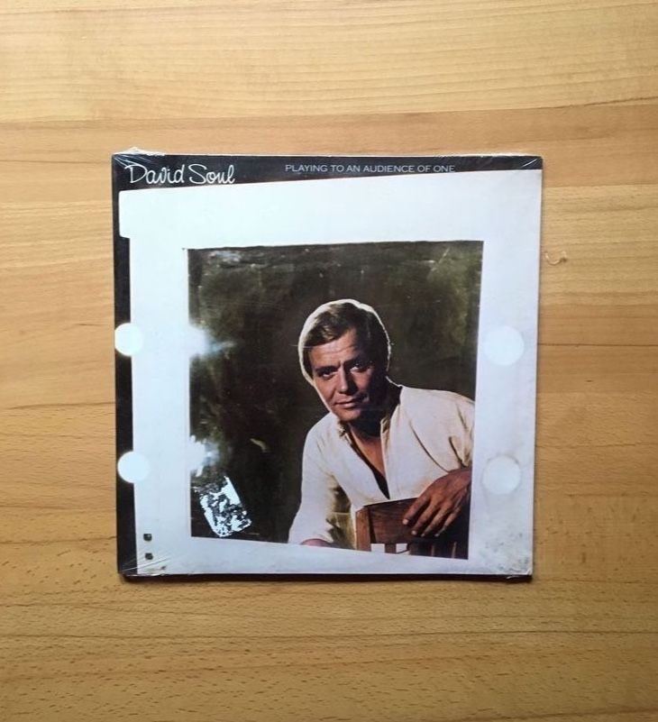 LP - Vinyl Schallplatte - Playing to an audience - David Soul in Nienstädt