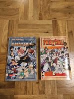 Fairy Tail Manga 60 und 63 Niedersachsen - Twistringen Vorschau